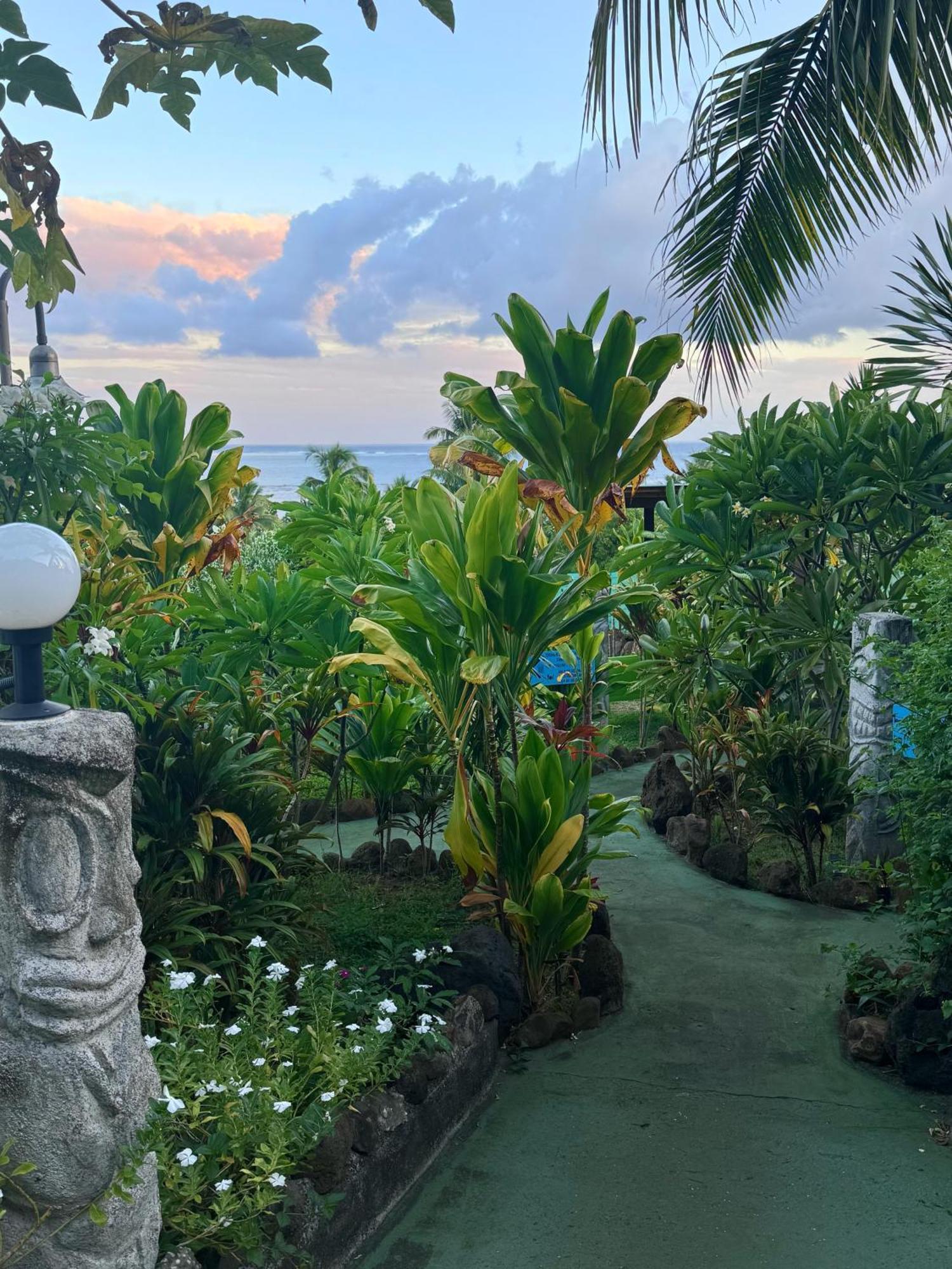 Atiha Fare Arana Moorea Guesthouse מראה חיצוני תמונה